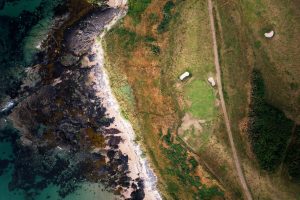 Brown fairway at Bamburgh Castle Golf Club, Northumberland