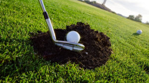 Golf Soil