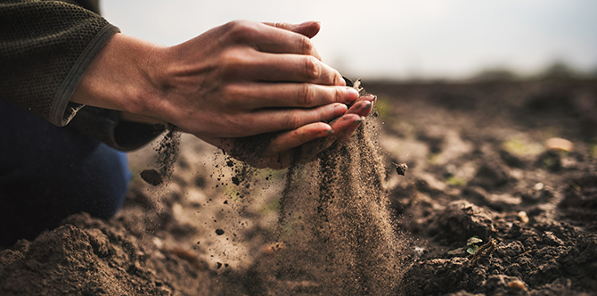 Female hands pouring a black soil in the field. Female agronomis