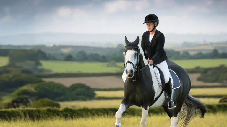 Equestrian Centre Featured