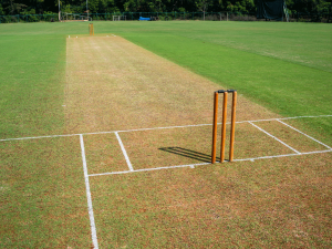 Sport Pitches 1