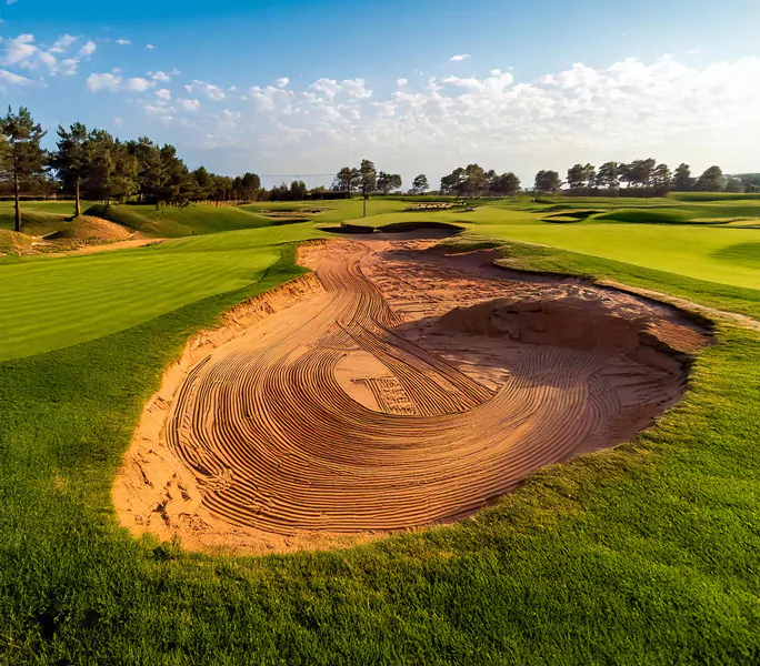Course Remodelling Gal1