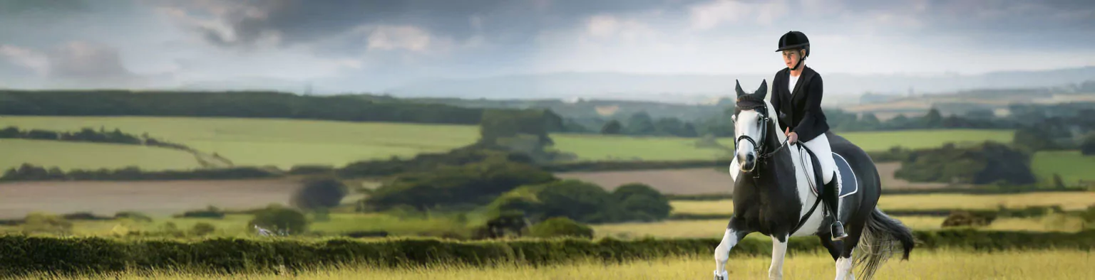 Equestrian Centre Hero Web 1536×394